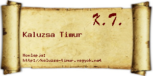 Kaluzsa Timur névjegykártya